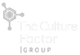 The Culture Factor Group